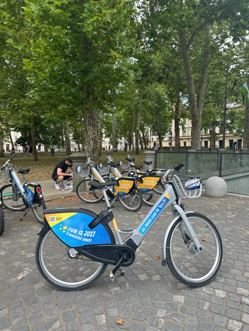 Pogled na polepljeno Nomago Bikes kolo