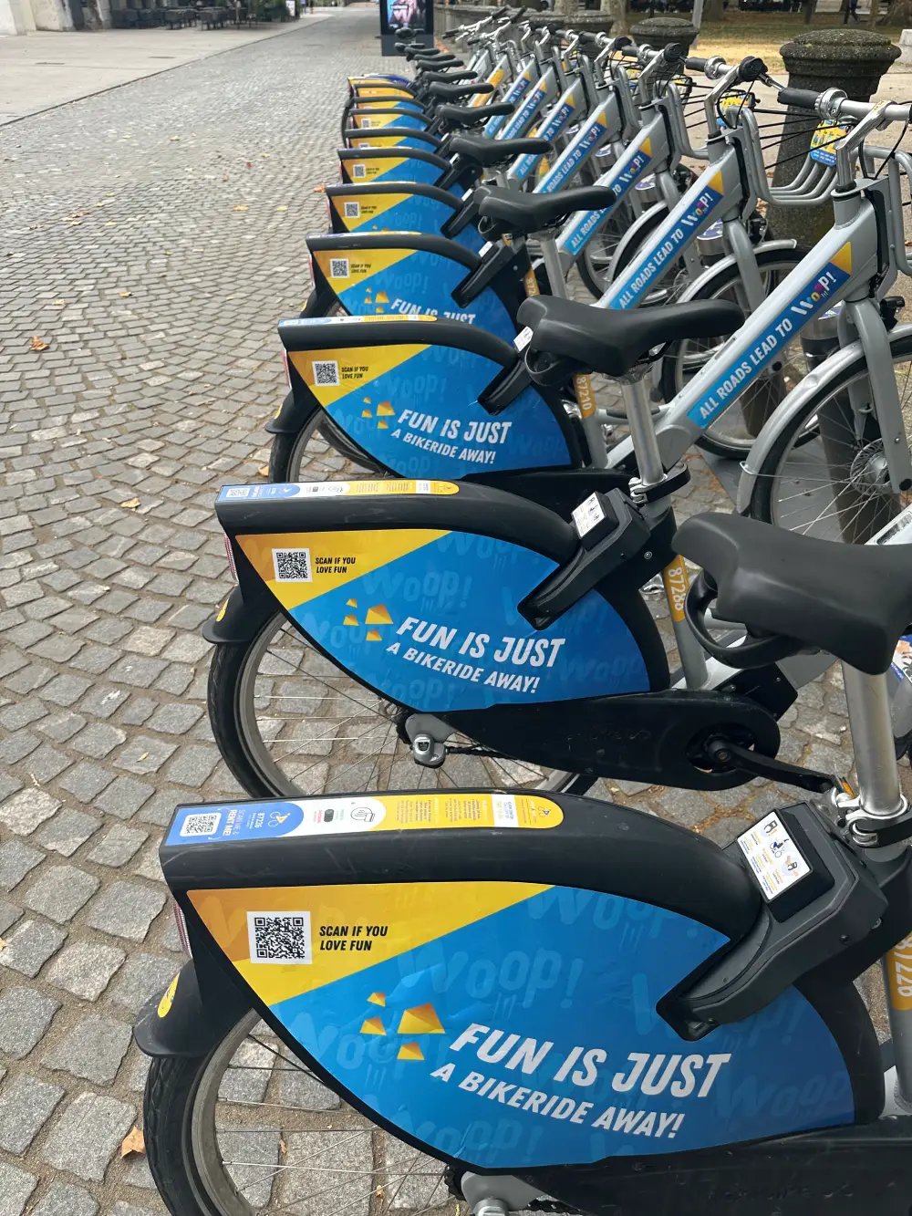 Nomago Bikes kolesa z WOOP polepitvijo