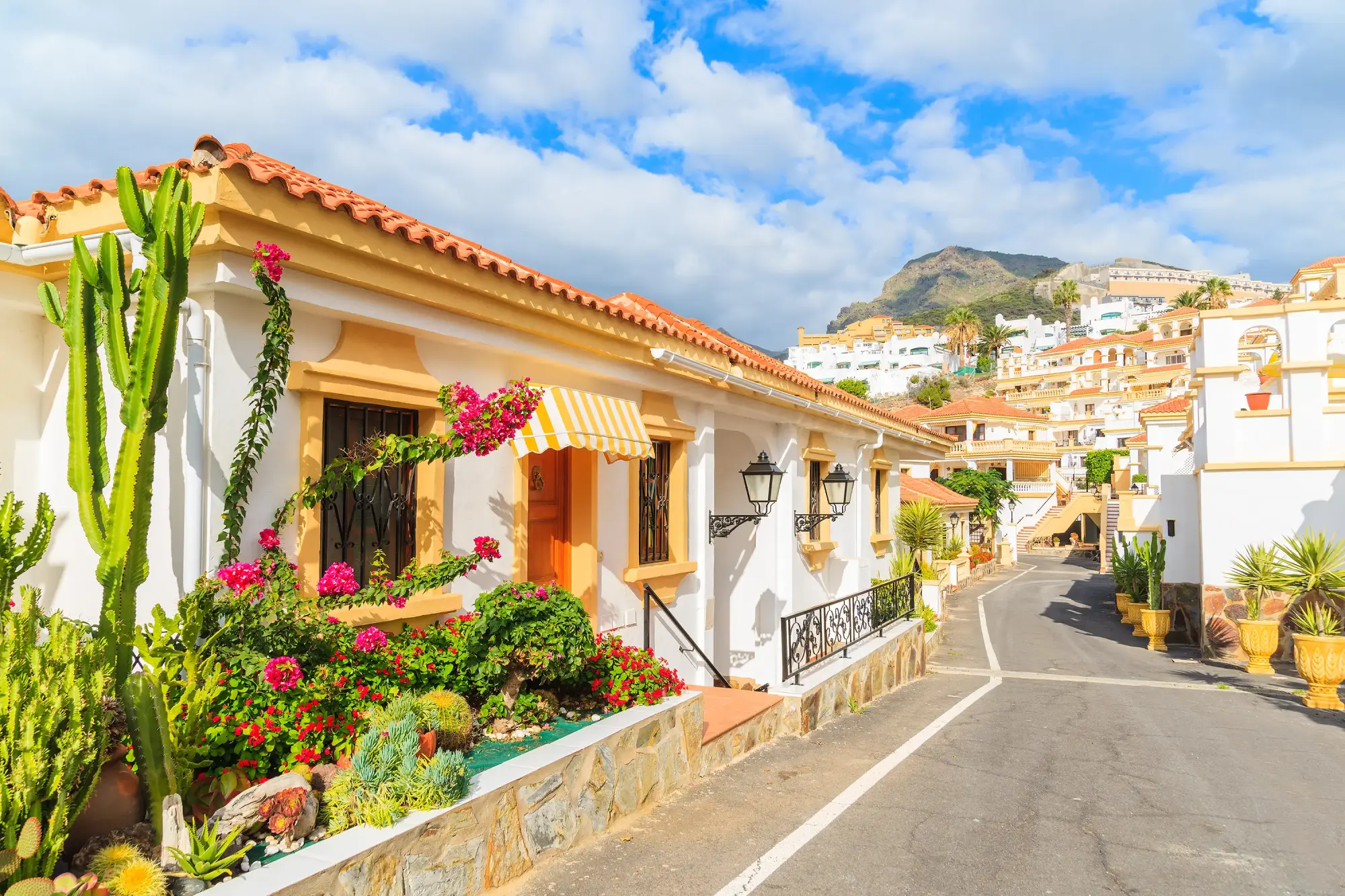 Barvite hiške z rastlinjem v kanarskem stilu na Tenerifih