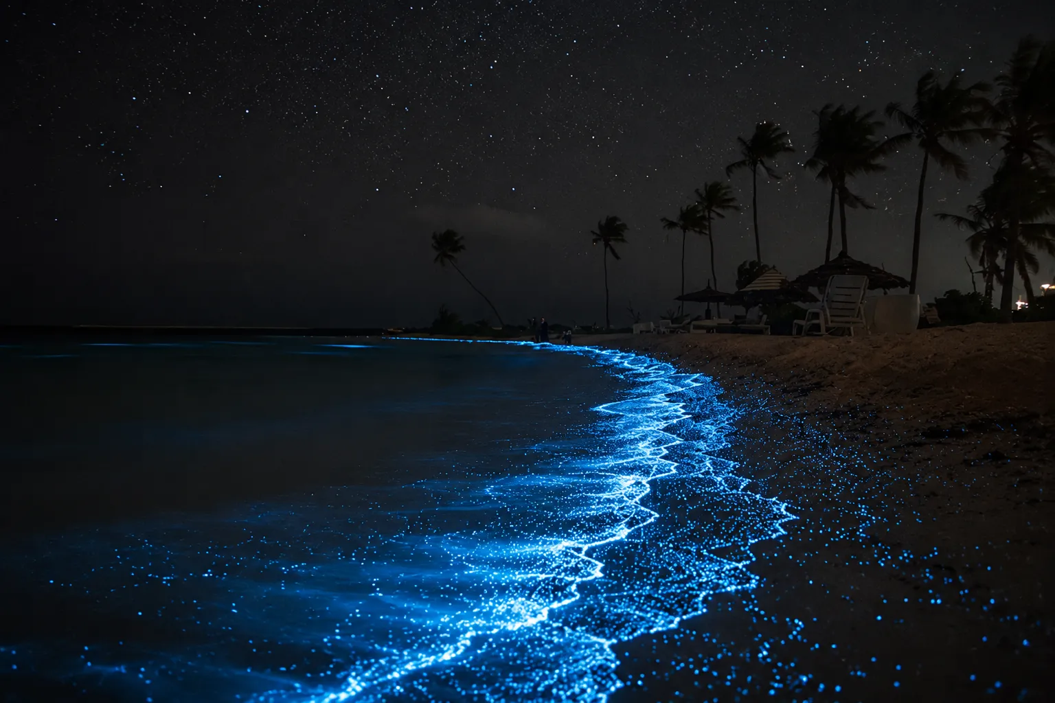 Svetleč plankton na Maldivih 