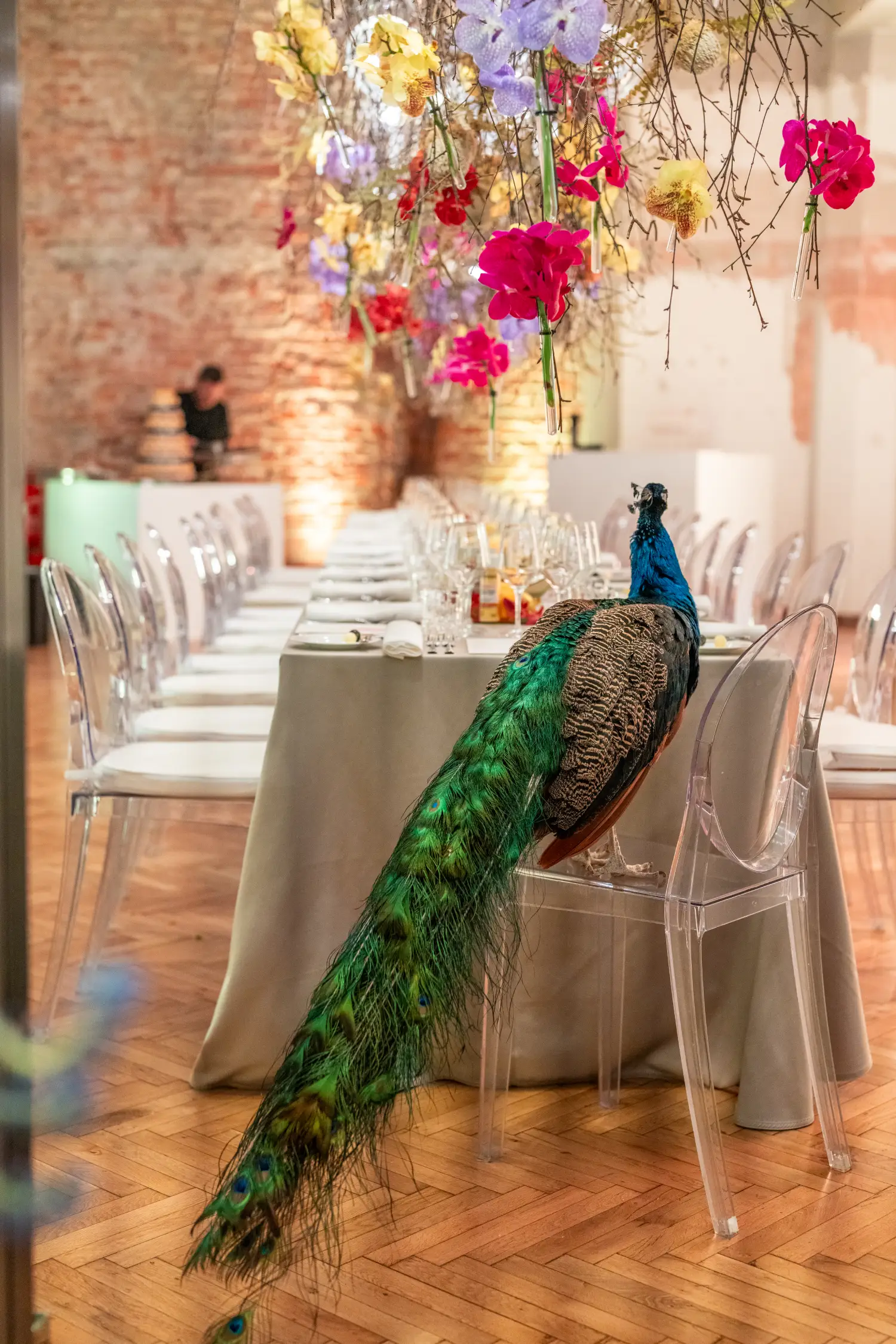 Peacock sitting on a chair at an exclusive event venue in Slovenia, adding a unique surprise element.