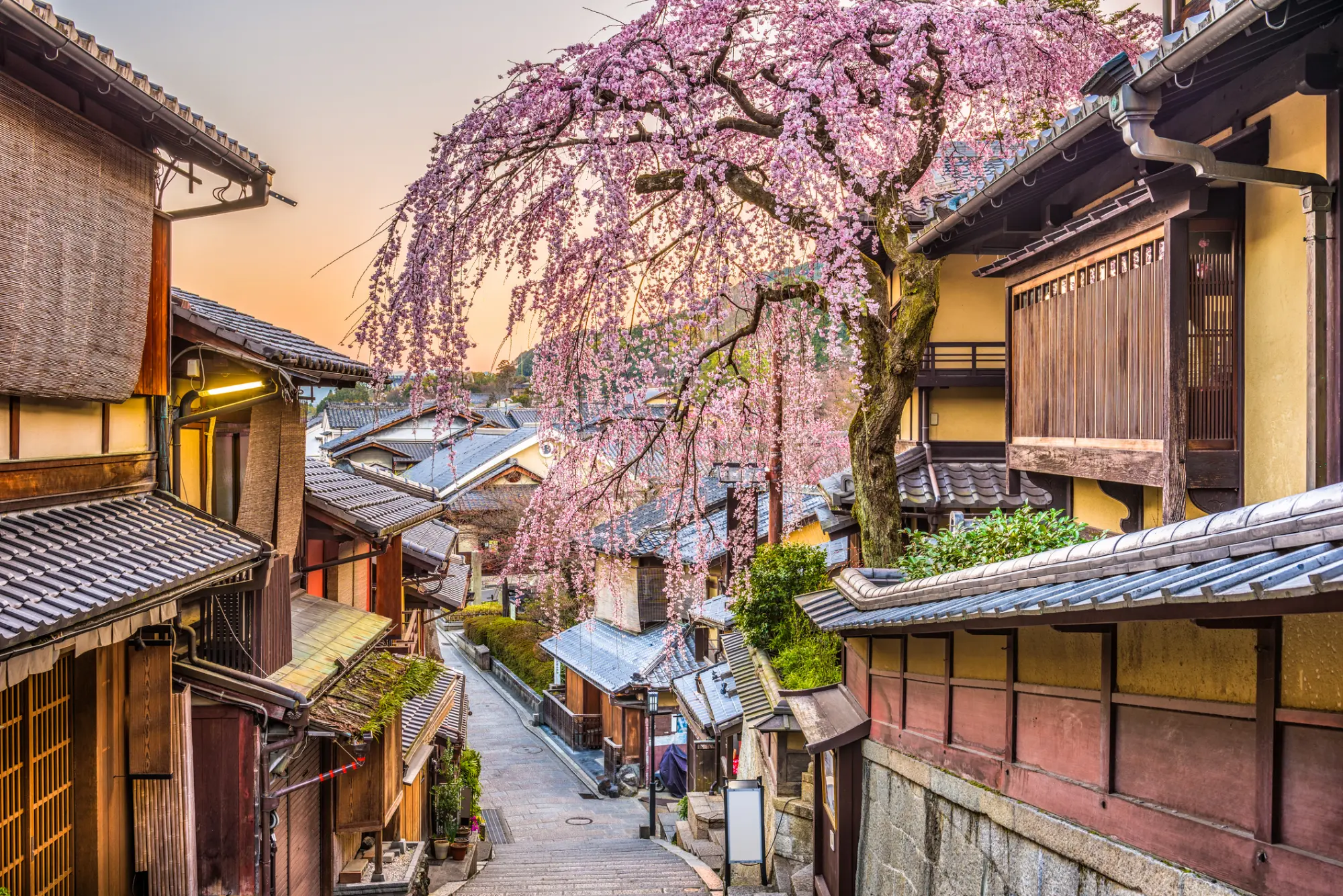 Tradicionalna četrt v Kyotu z lesenimi hišami, kamnito ulico in japonskimi senčniki.