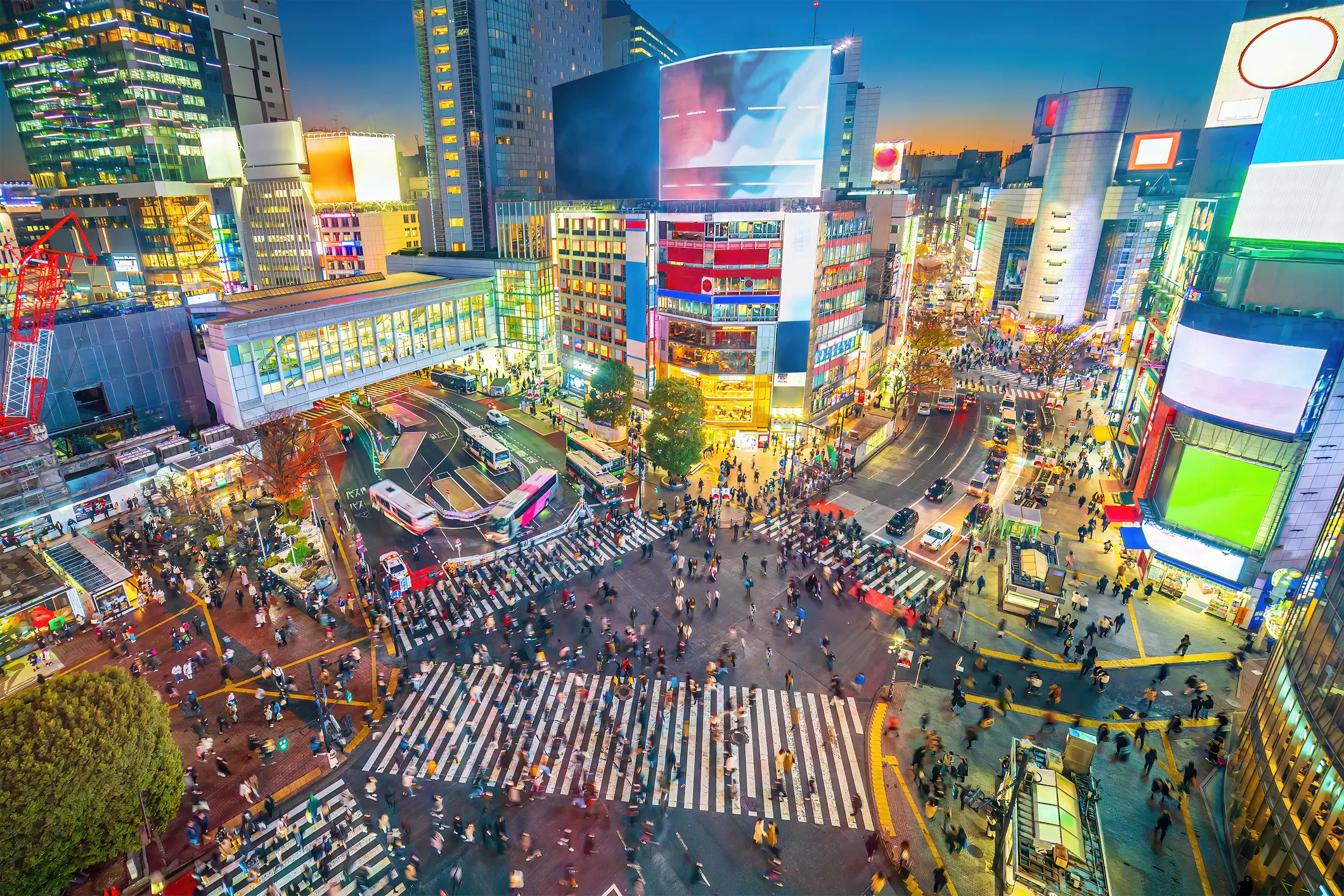 Pogled na živahno križišče Shibuya v Tokiu, kjer množice pešcev prečkajo cesto med osvetljenimi stolpnicami.