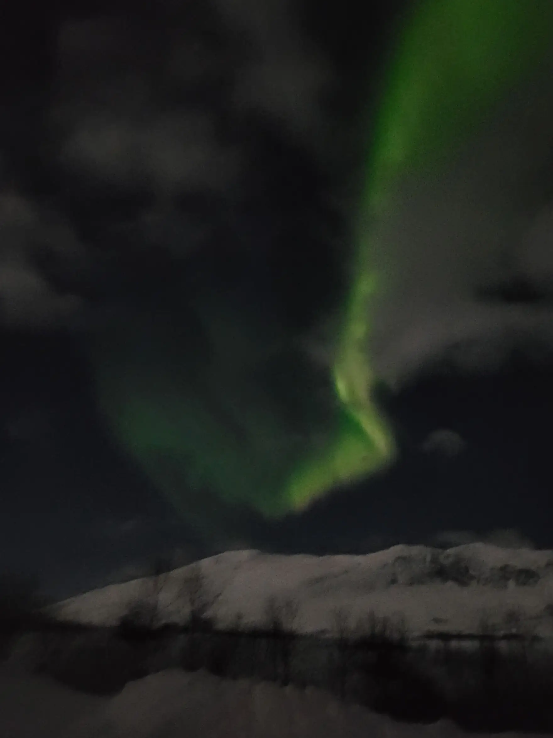 Aurora borealis nad gorami v okolici Tromsøja