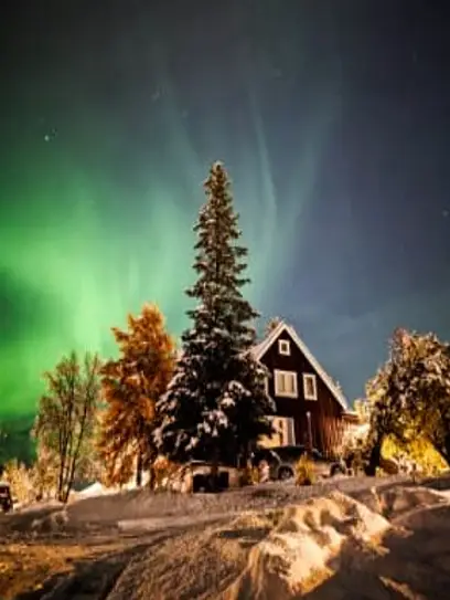 Severni sij nad hišo in drevesi – čaroben trenutek arktične noči