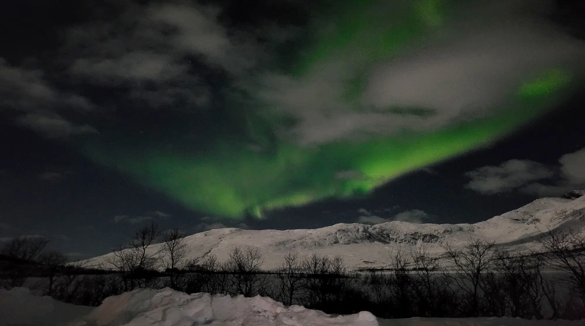 severni-sij-tromso-aurora-borealis-jasna-briski.webp