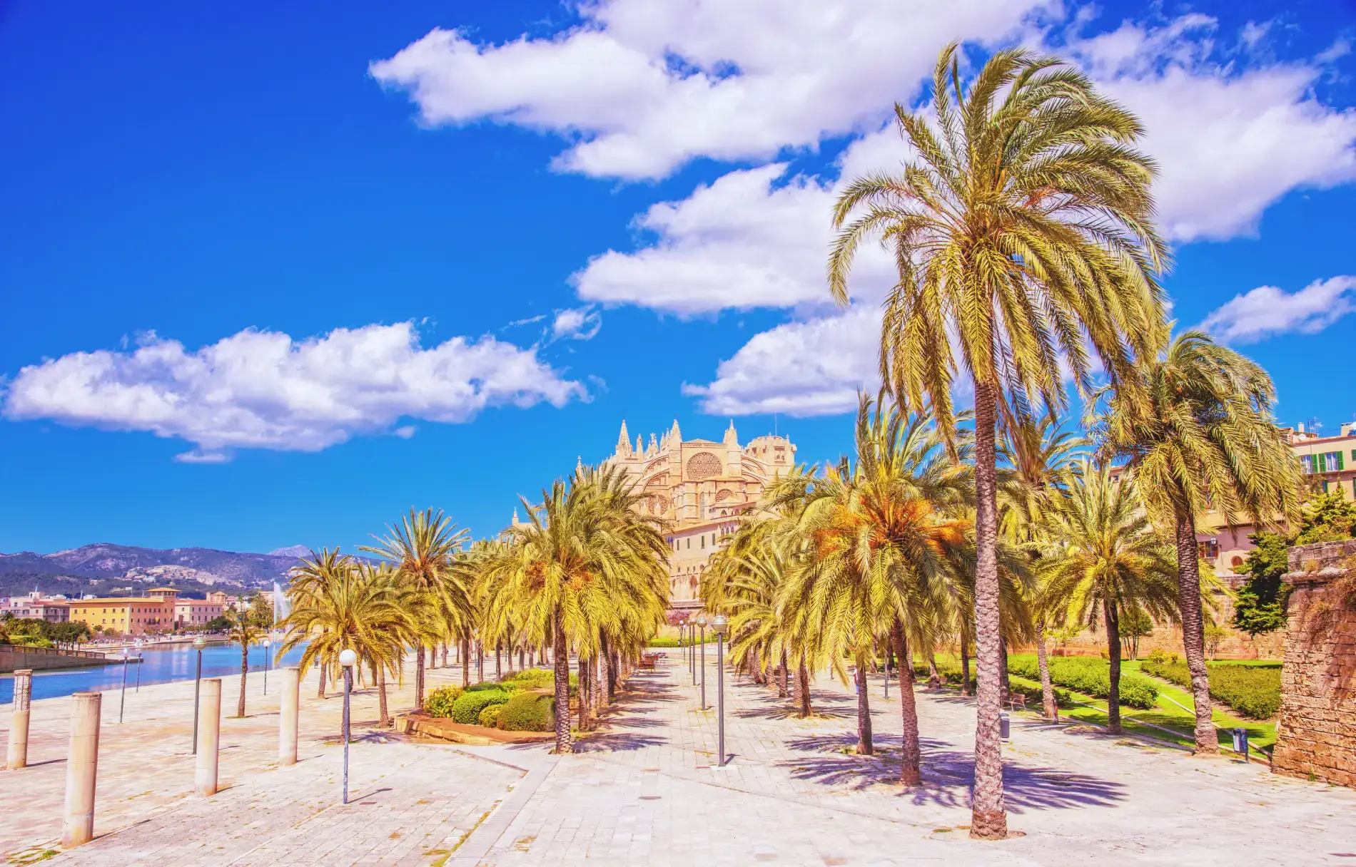 Palma de Mallorca - v ozadju katedrala La Seu