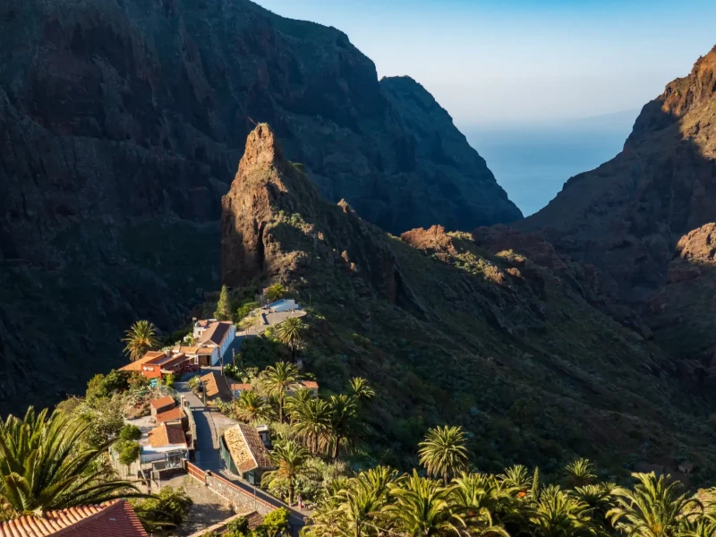 Gorska vasica Masca v gozdu na Tenerifih