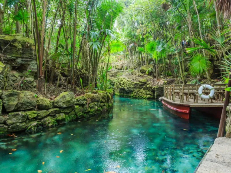 Kristalno čist kanal, obdan z džunglo, v ekološkem parku Xcaret na Rivieri Maya.
