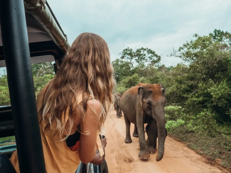 srilanka-potovanje-zenska-na-safariju-iStock-20-08-2025.webp