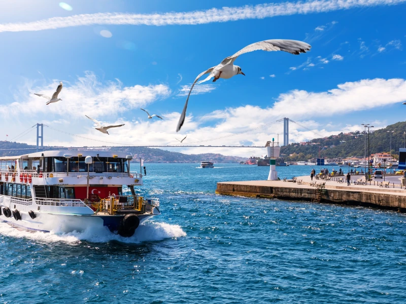 Ladja z zastavo Turčije na Bosporju ob sončnem dnevu in galebi v zraku.