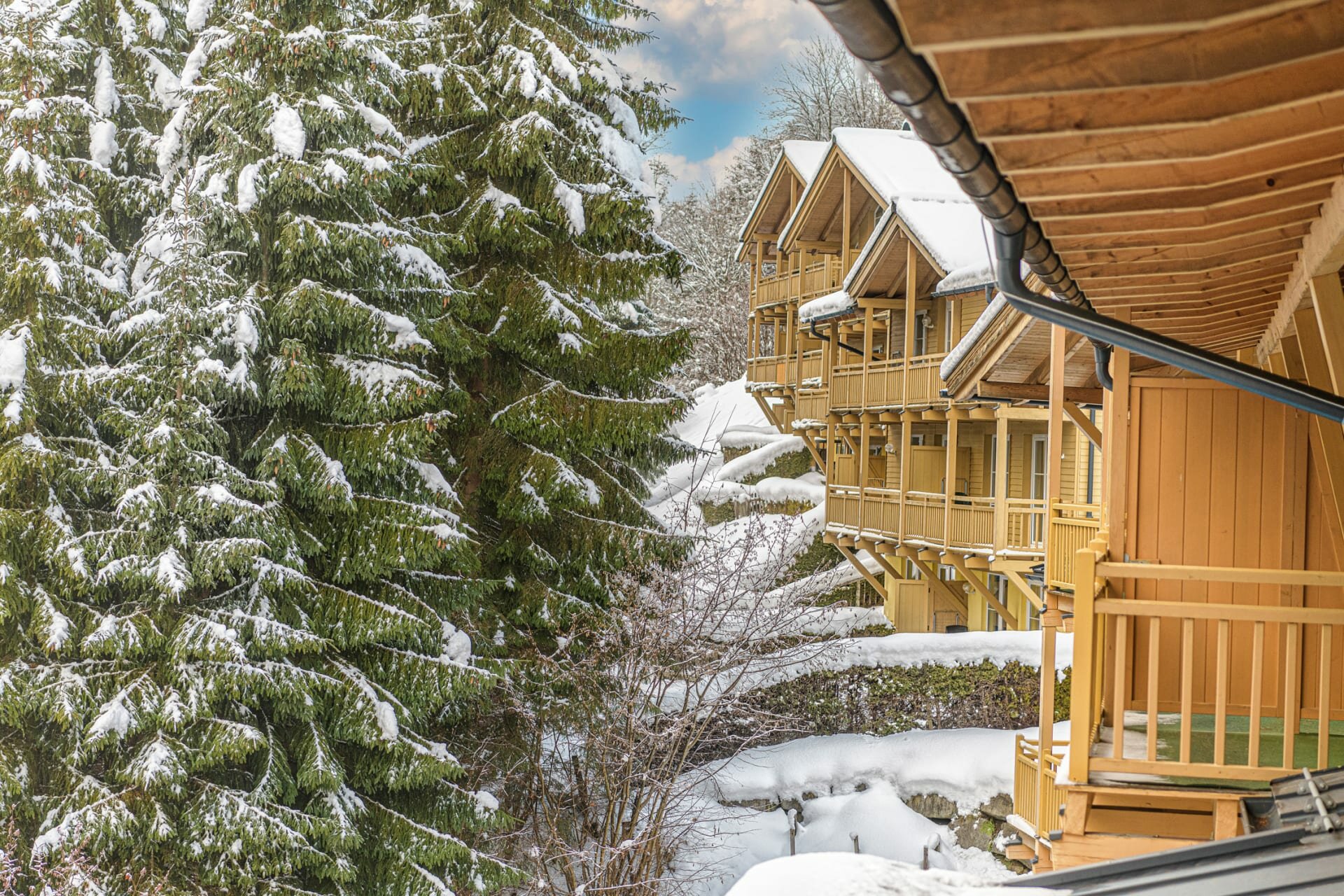 3-alpenparks-apartment-rehrenberg-apartma-studio-alpine-zunanjost.jpg