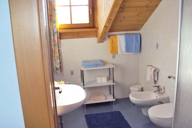 apartmaji-gandlerhof-kronplatz-kopalnica.jpg