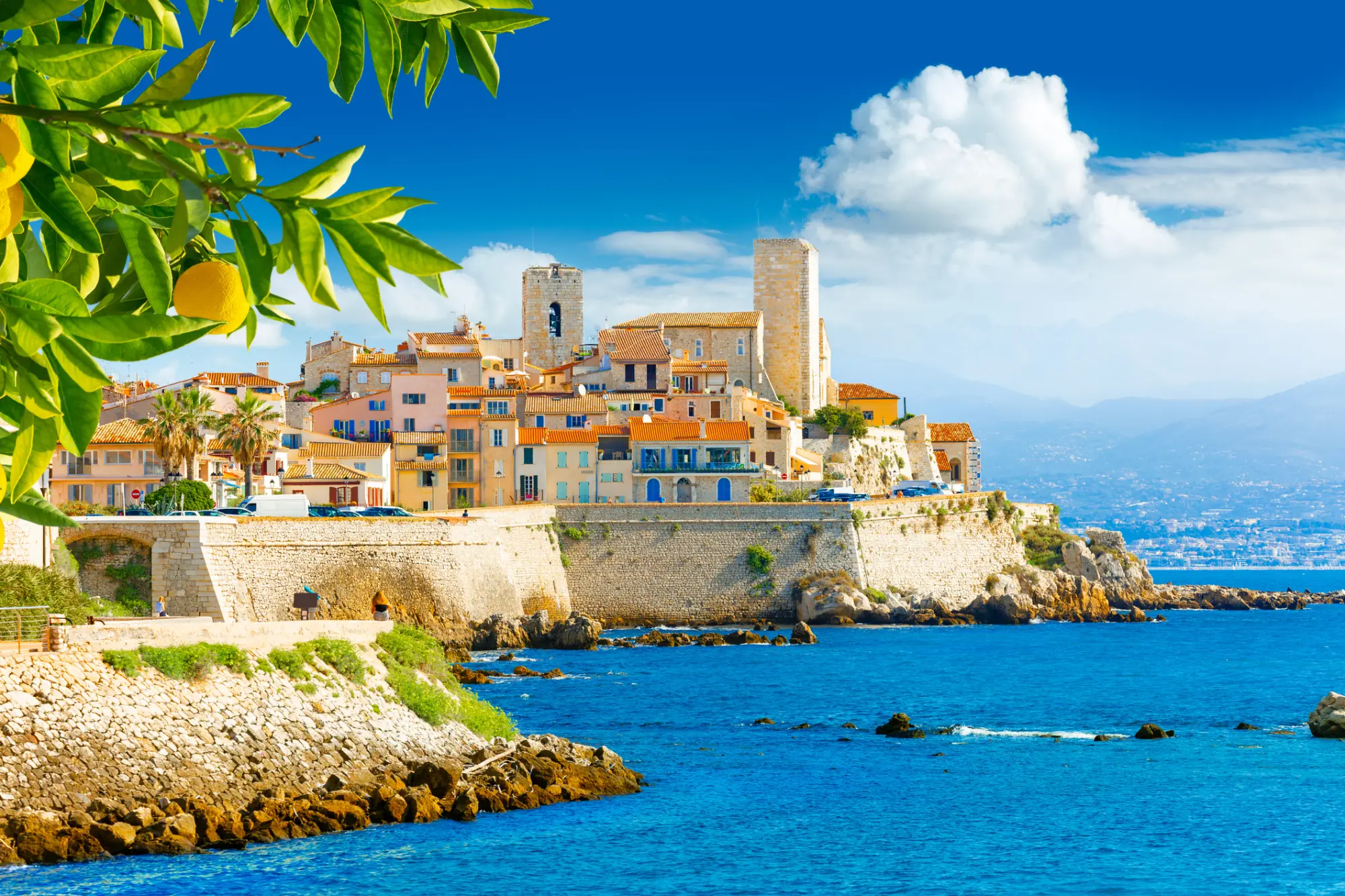 Vasica Antibes ob morju z limonami