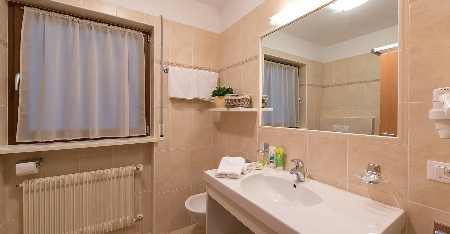 apartmajska-hisa-steiner-kopalnica.webp